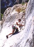 VTT